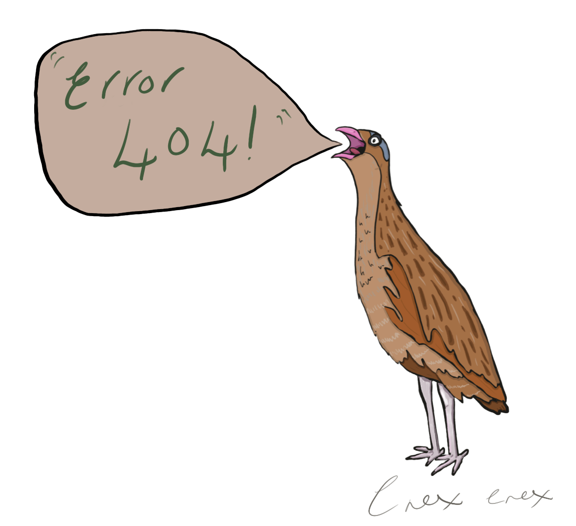 Corncrake