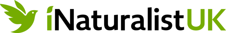 iNaturalist Logo