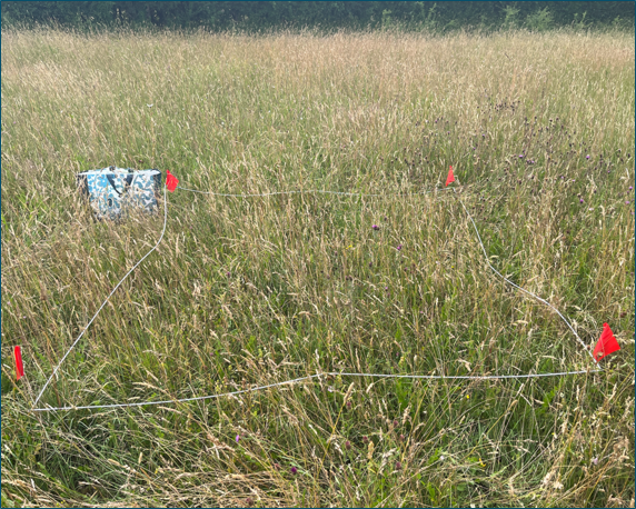 Image of a 2 by 2 meter quadrat for vegetation sampling purposes.
